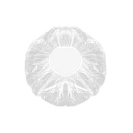 Disposable Hair Caps